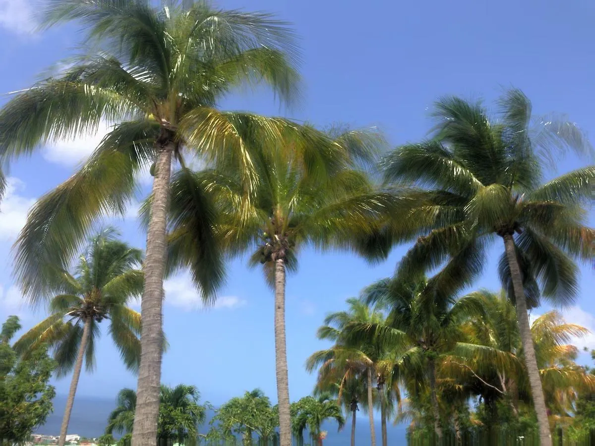 Residence Paradis Tropical Basse-Terre 3*,